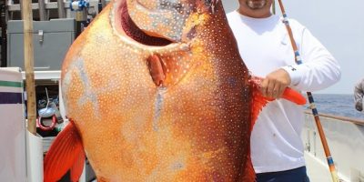 world record opah.jpg